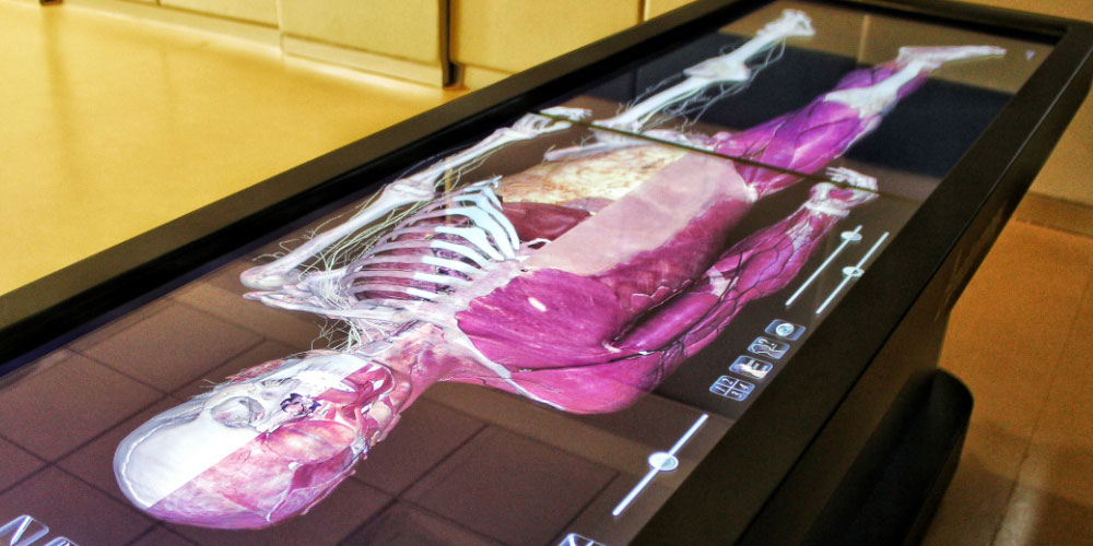 Anatomage Table